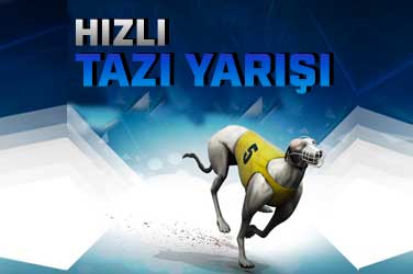 Tazı Yarışları